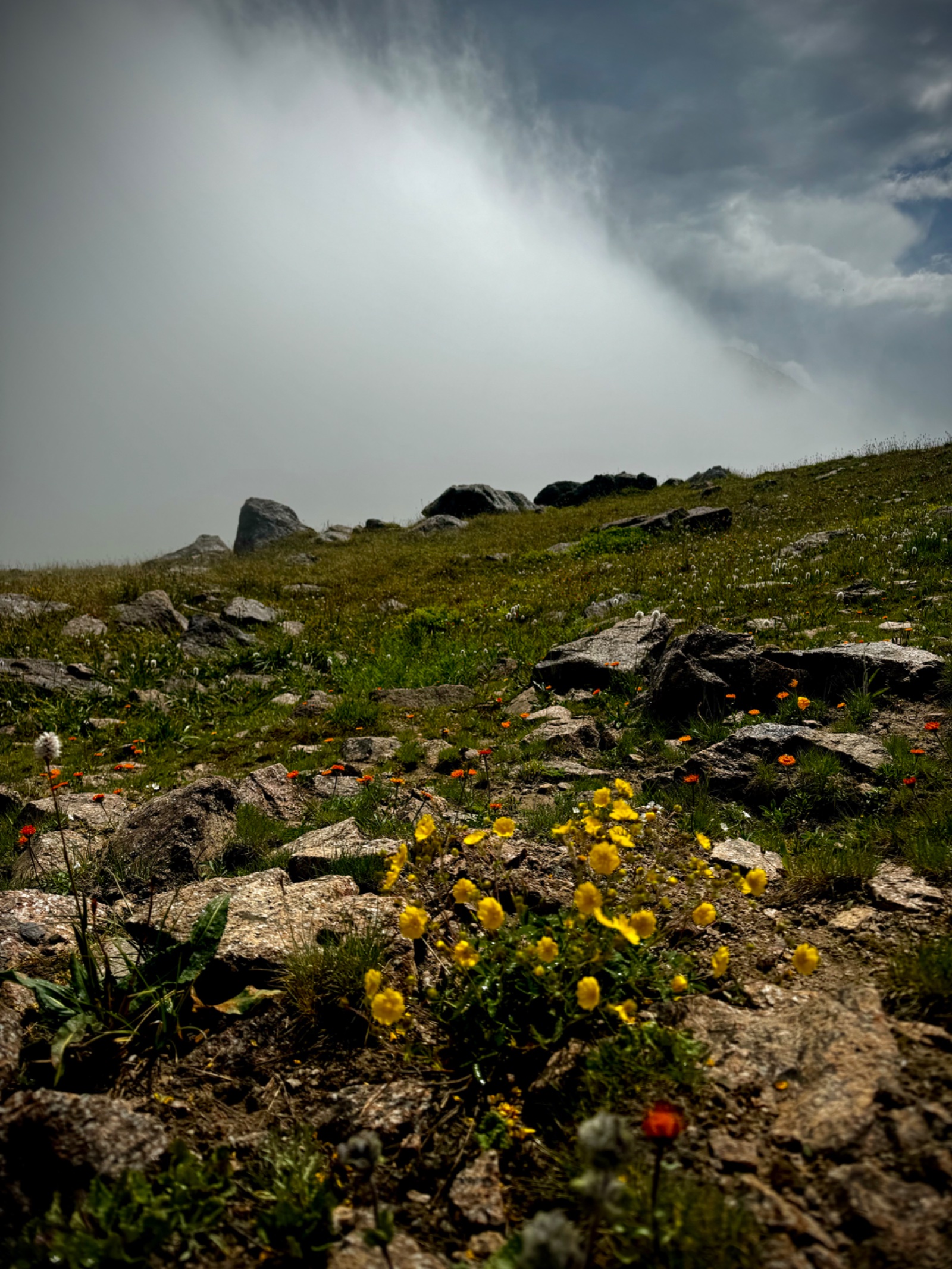 Trail photo