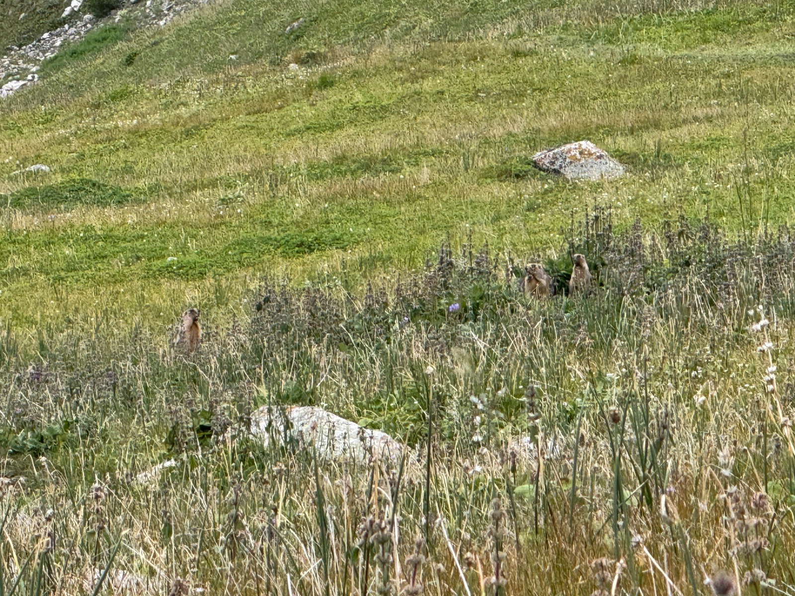 Trail photo
