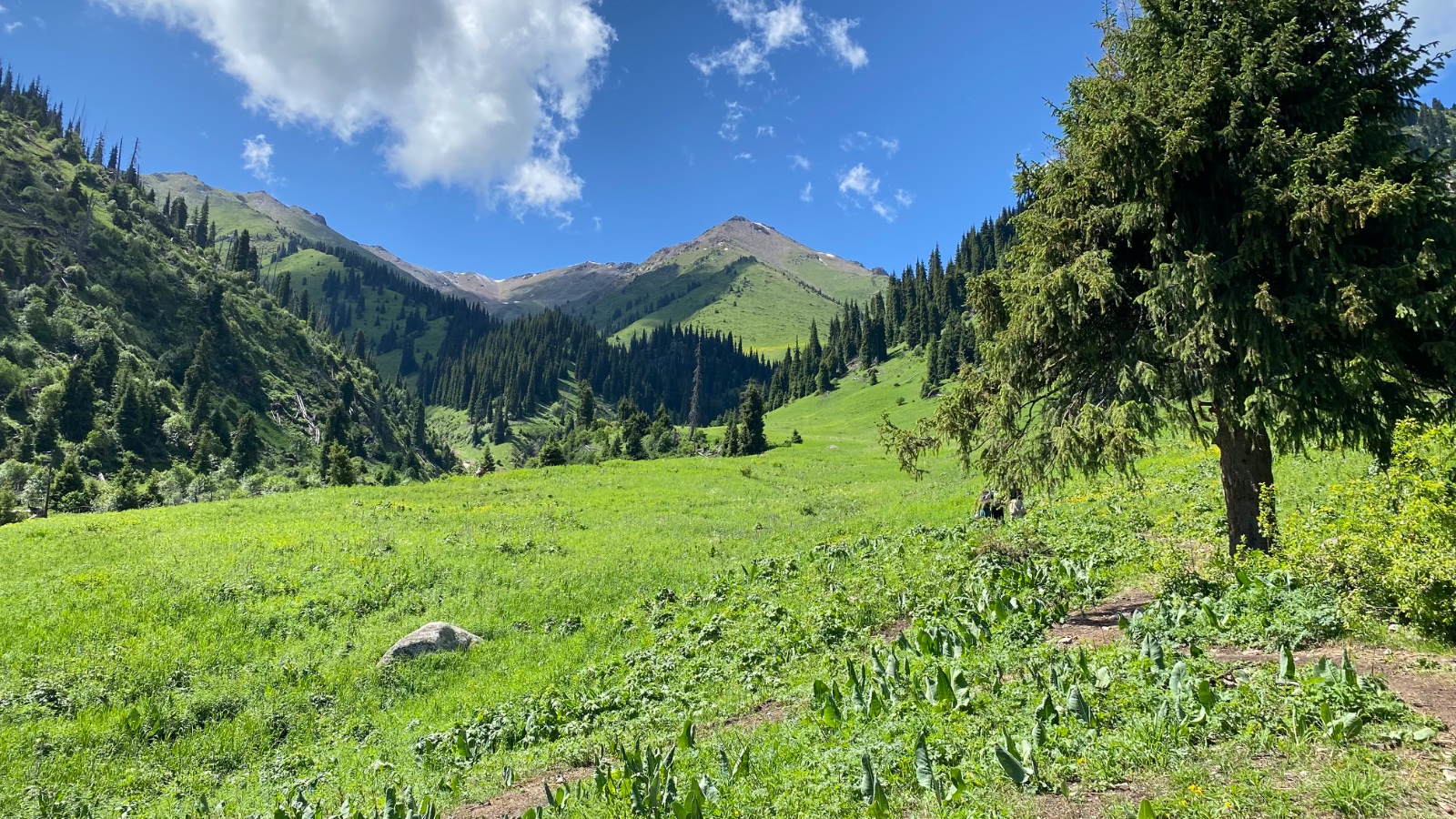 Trail photo