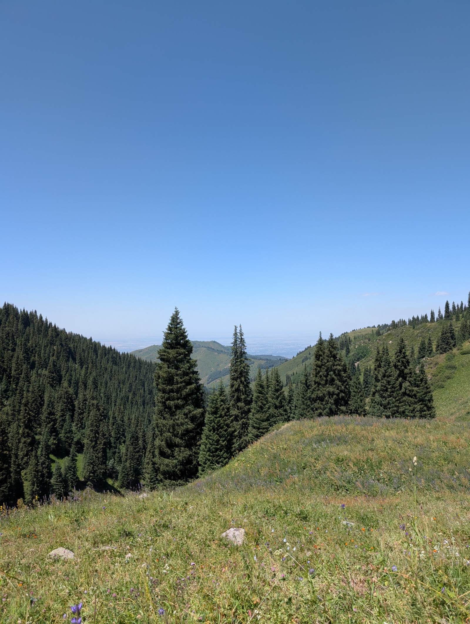 Trail photo