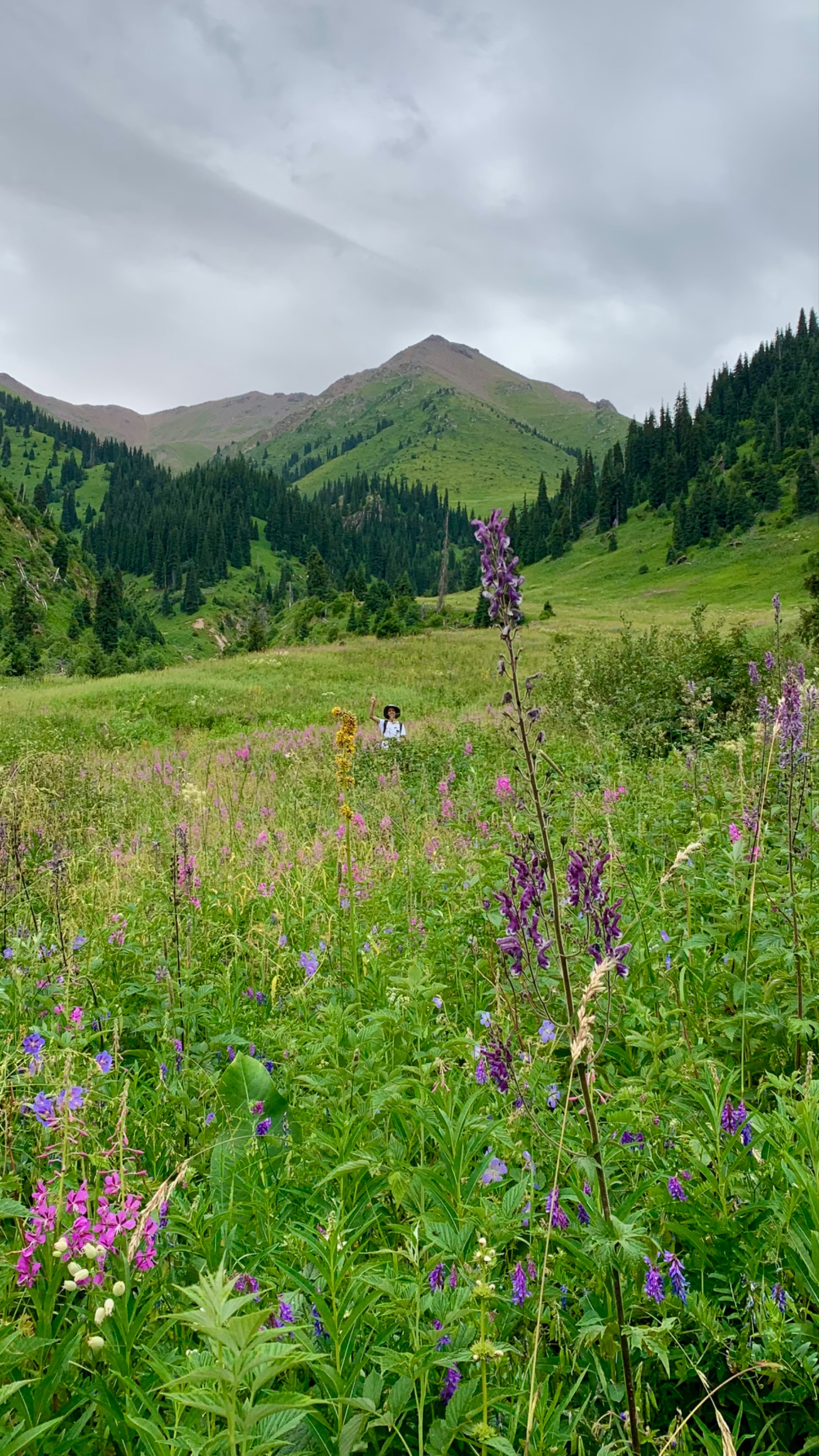 Trail photo