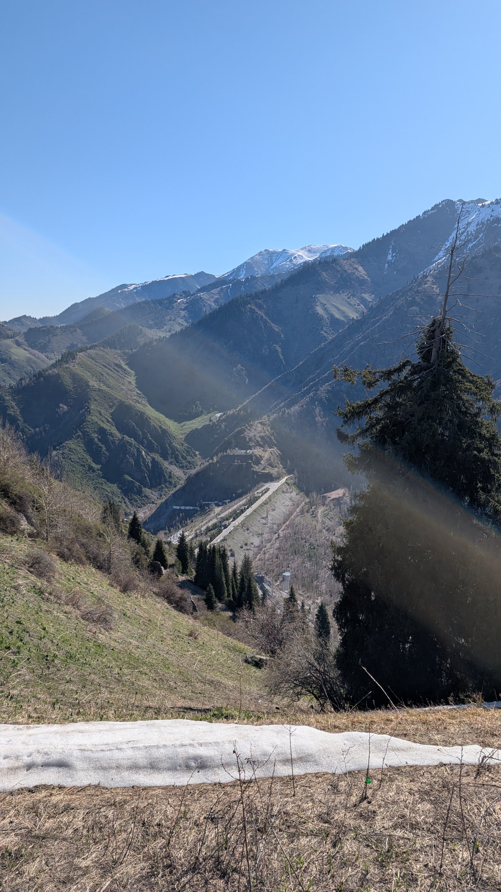 Mohnatka From Butakovka