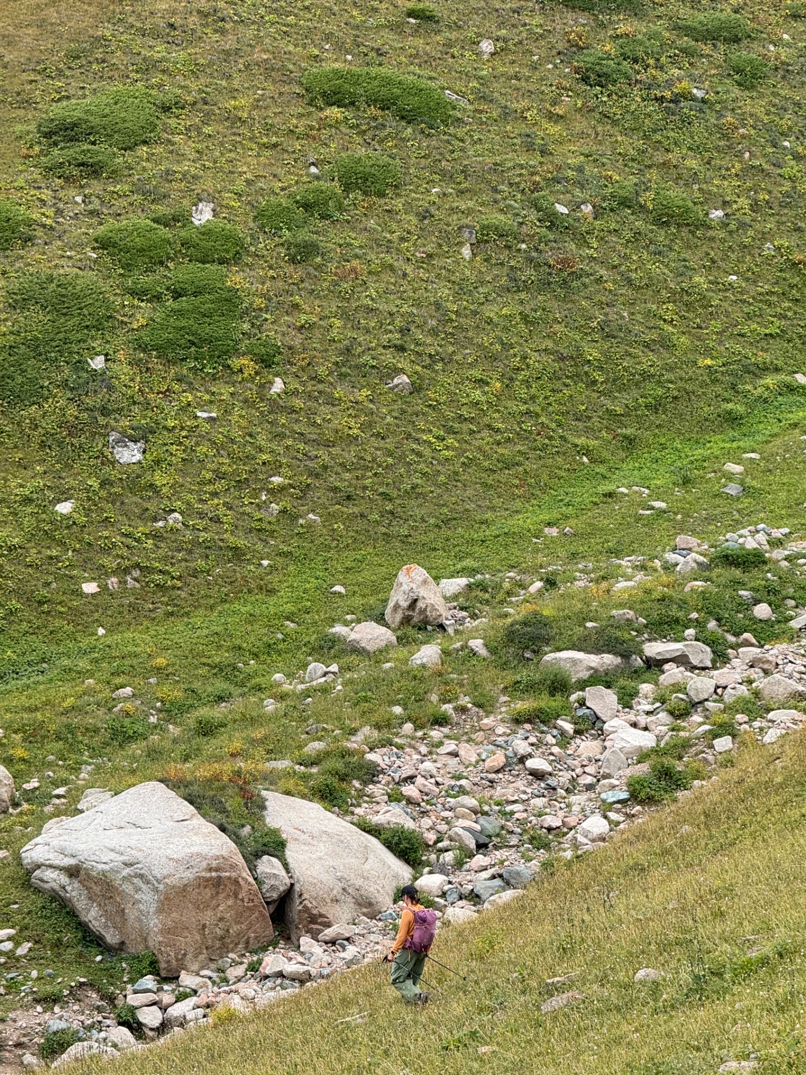 Trail photo