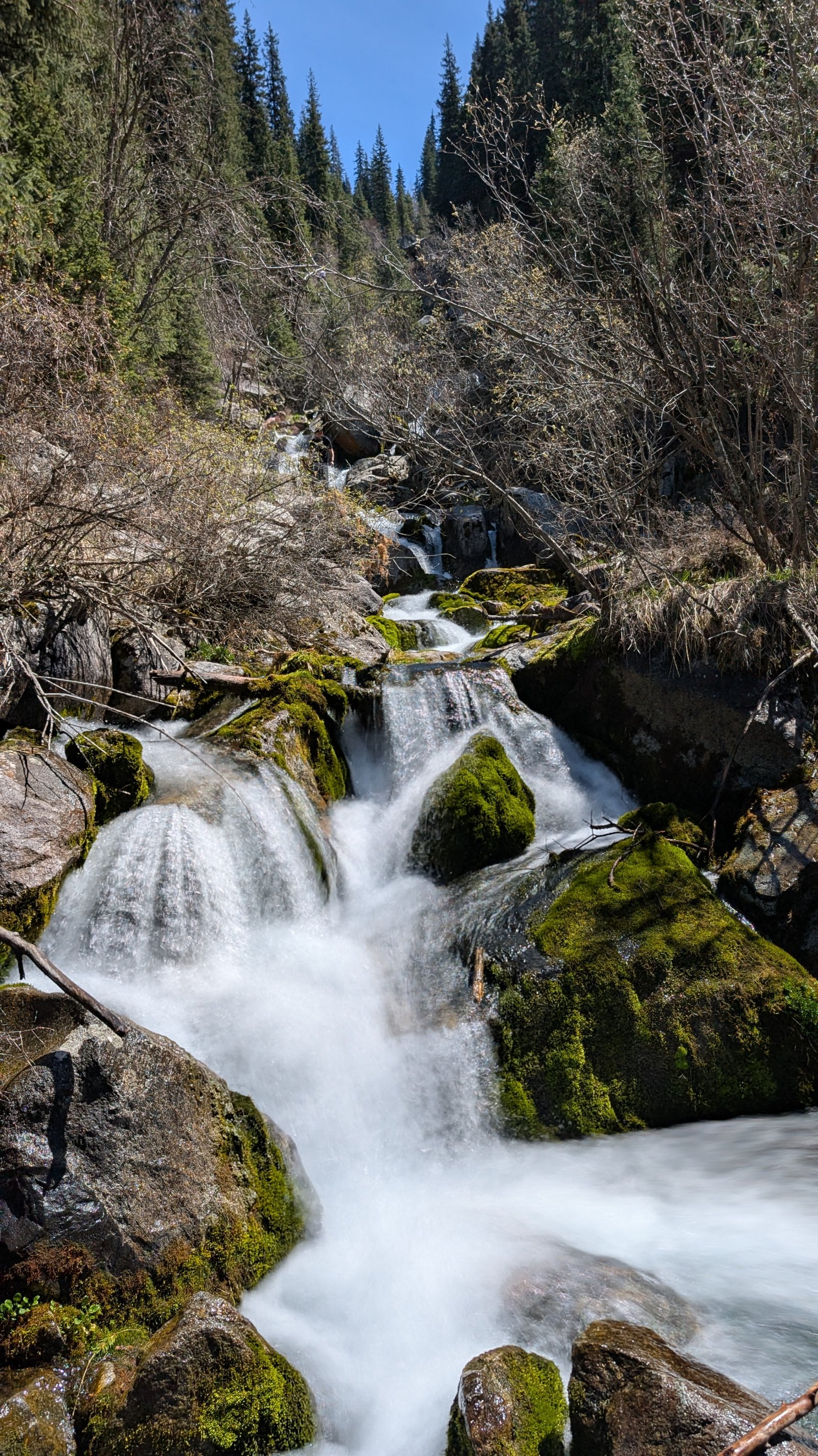 Trail photo