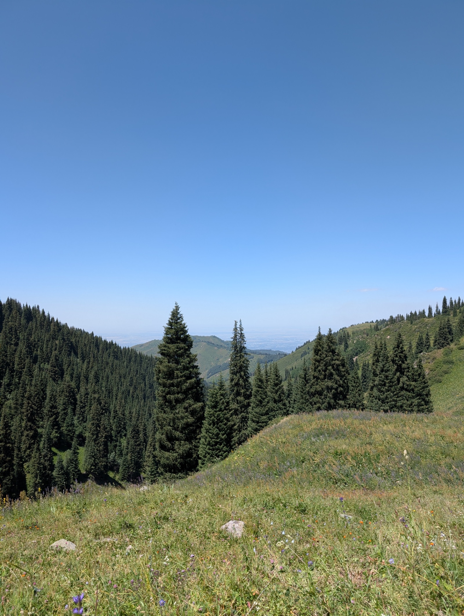 Trail photo