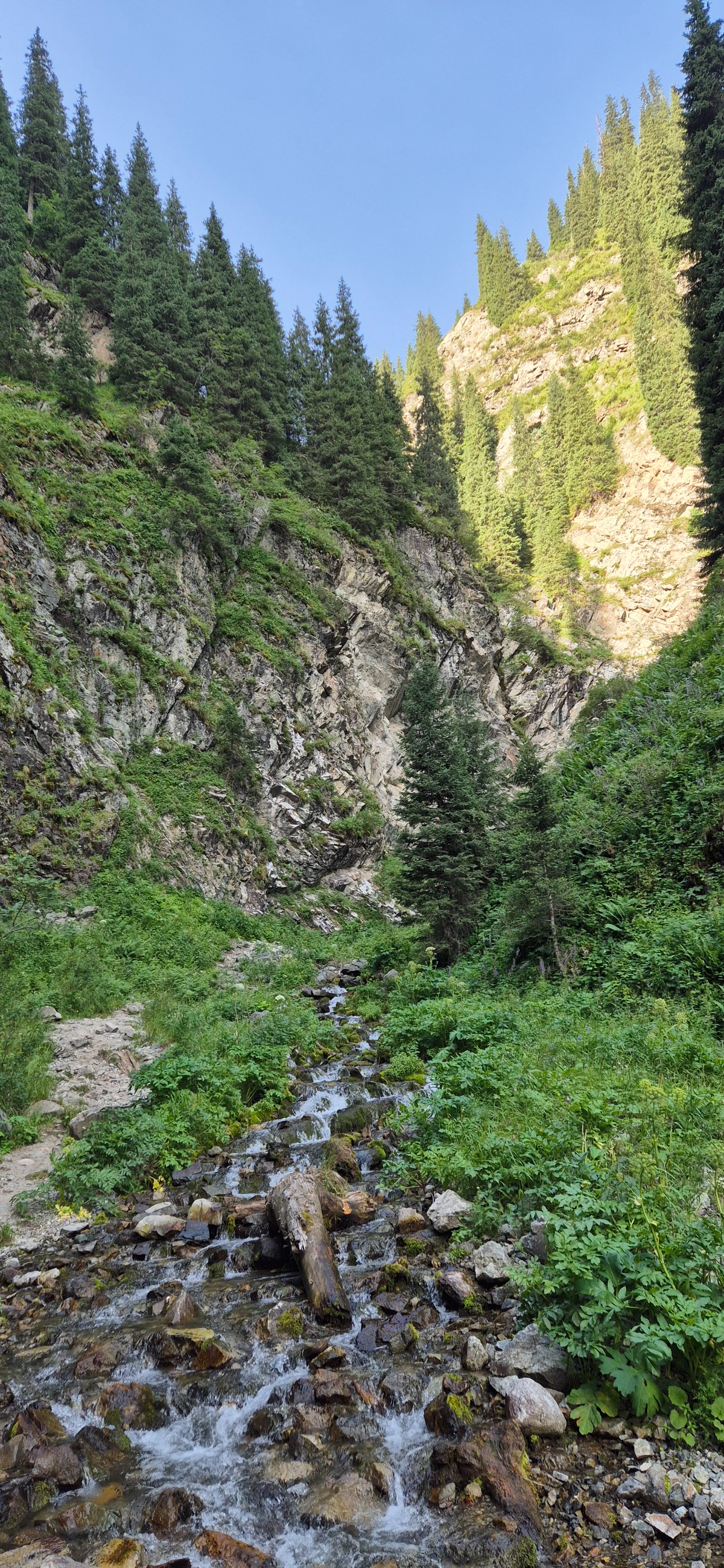 Trail photo