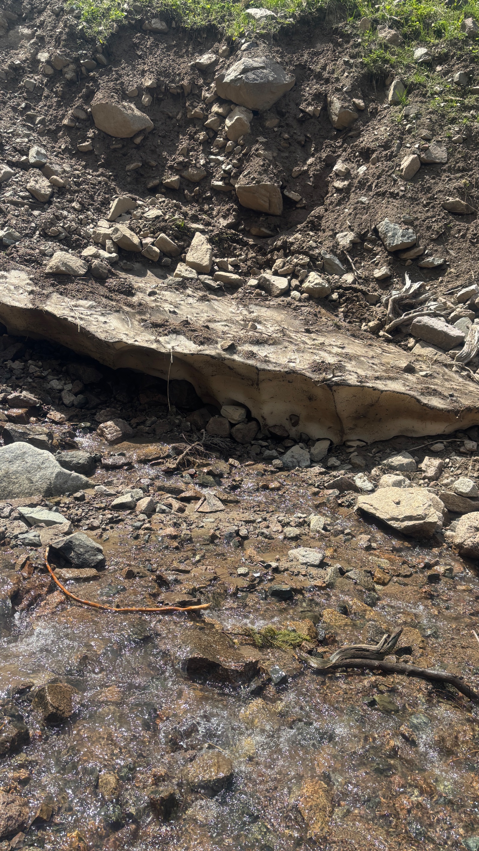 Trail photo