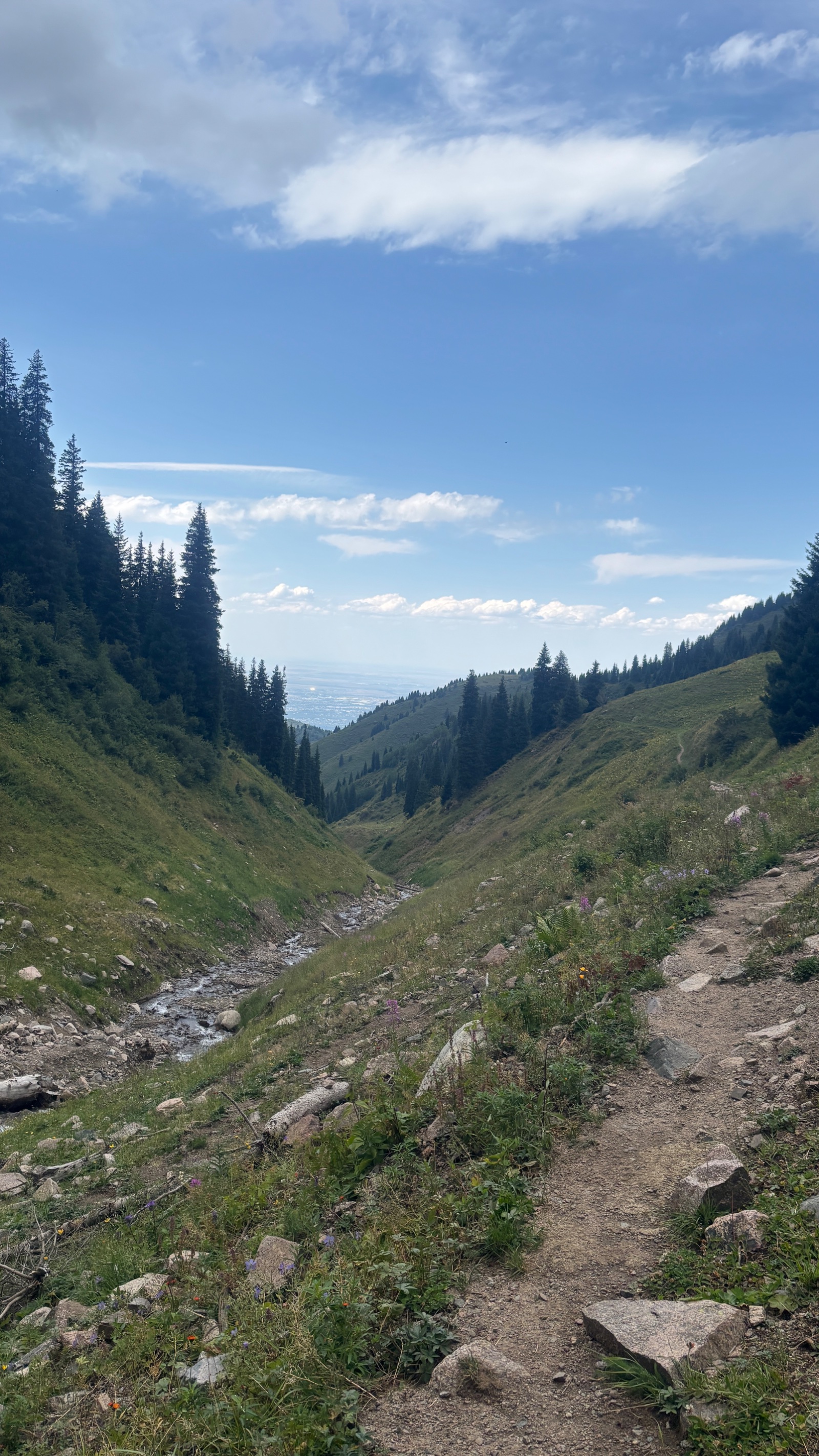 Trail photo