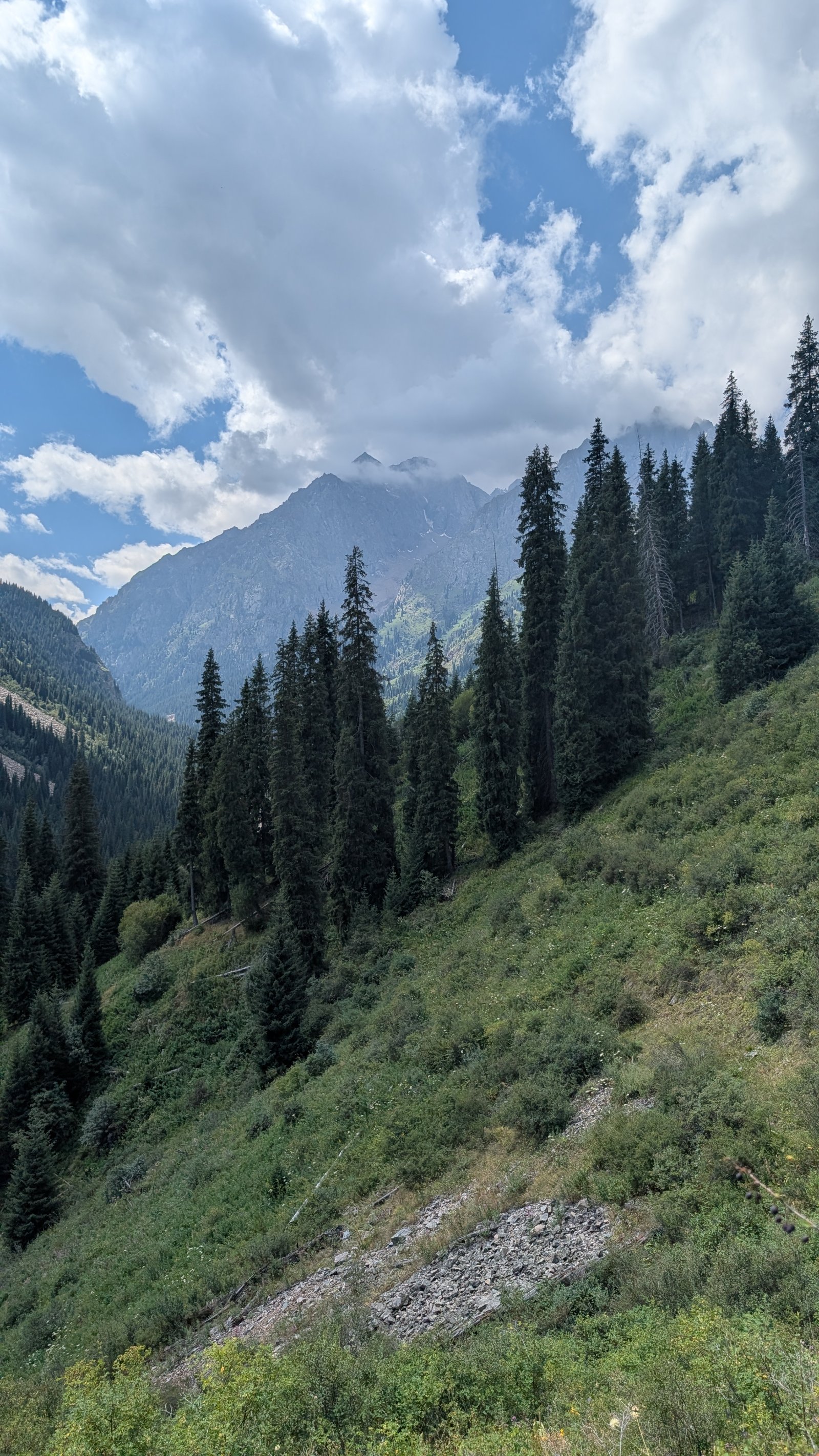 Trail photo