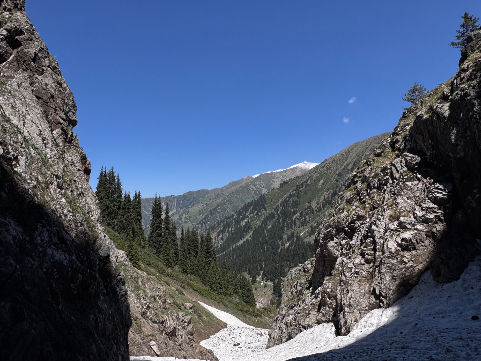 Trail photo