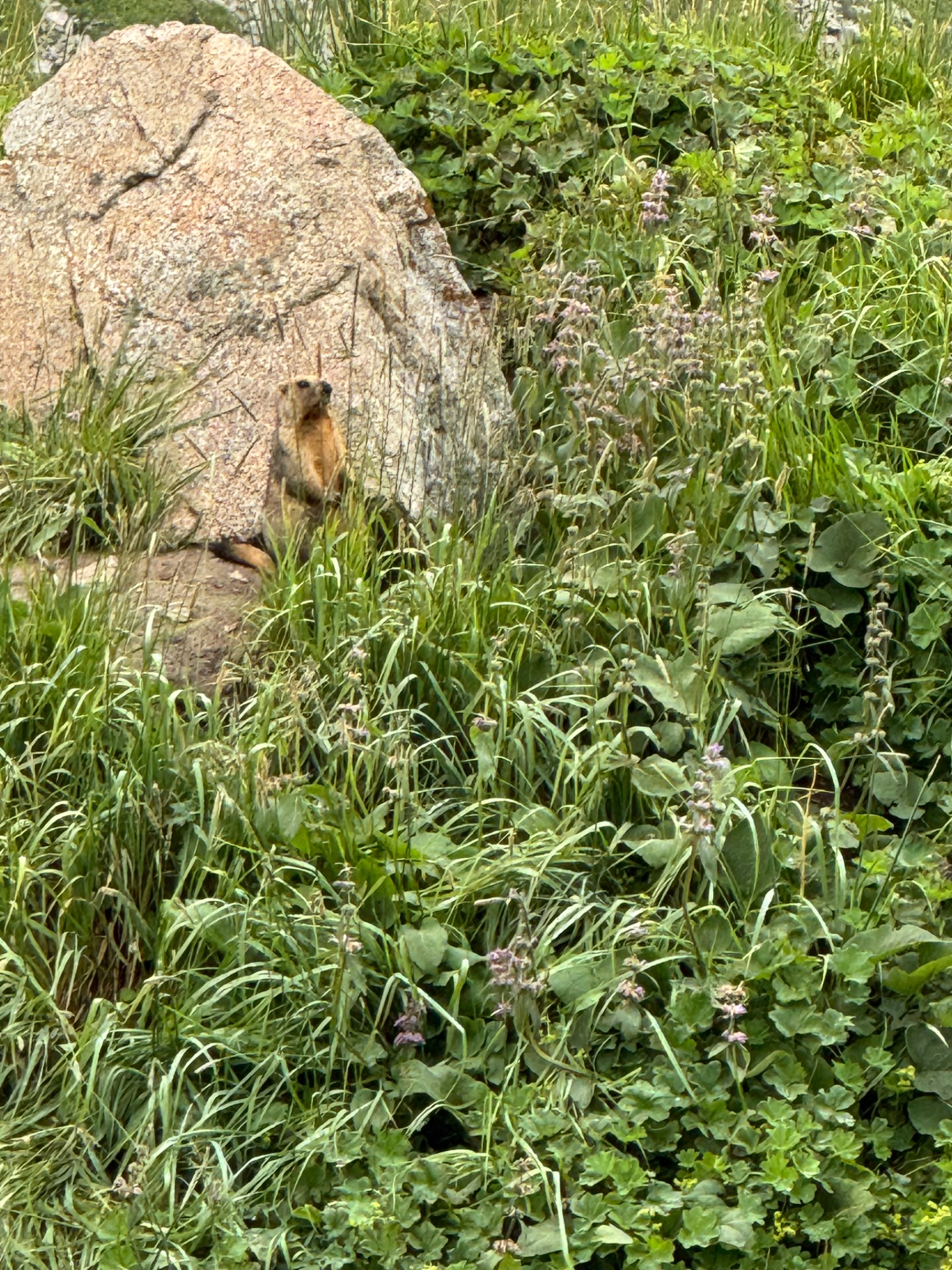 Trail photo
