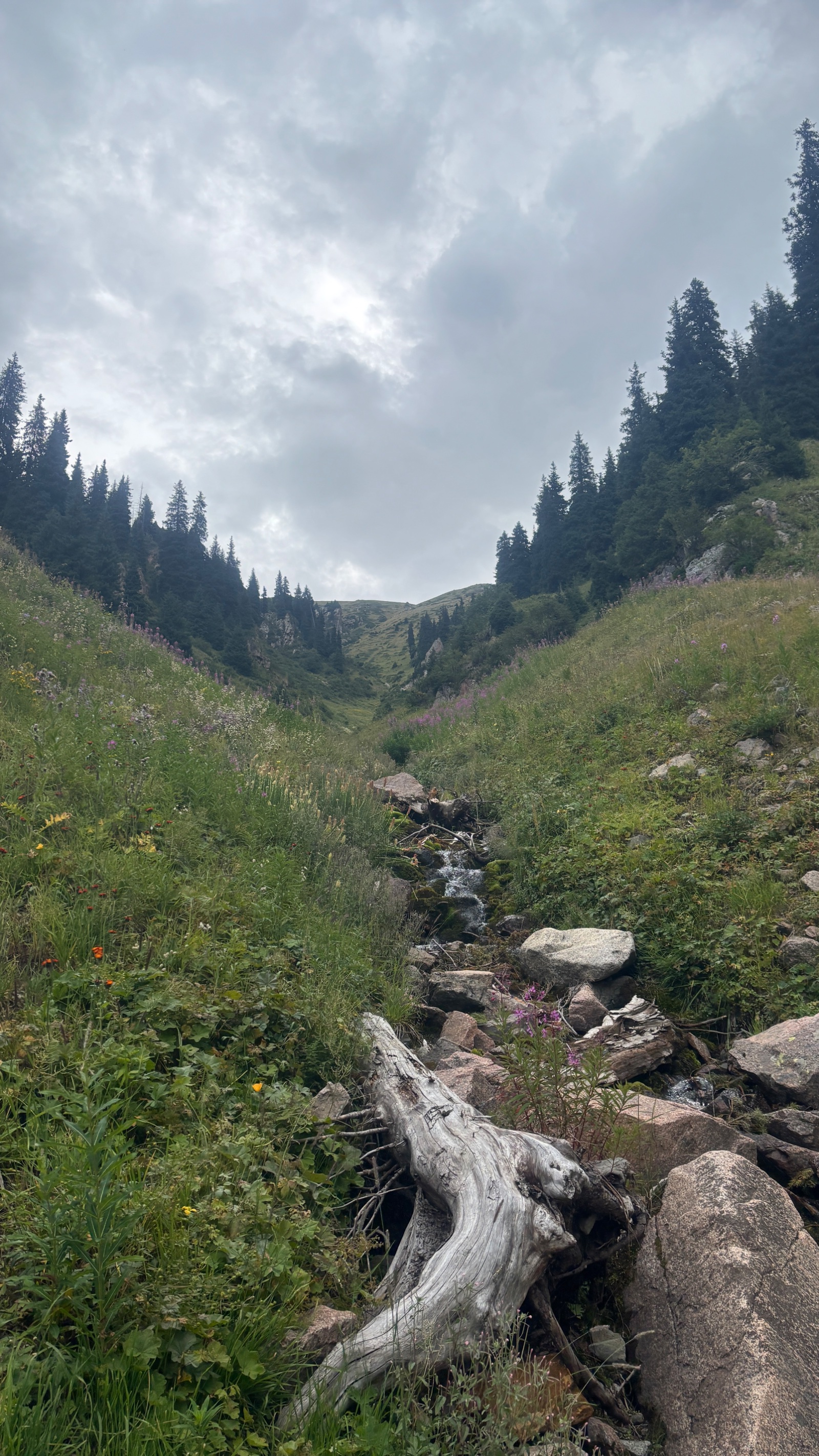 Trail photo