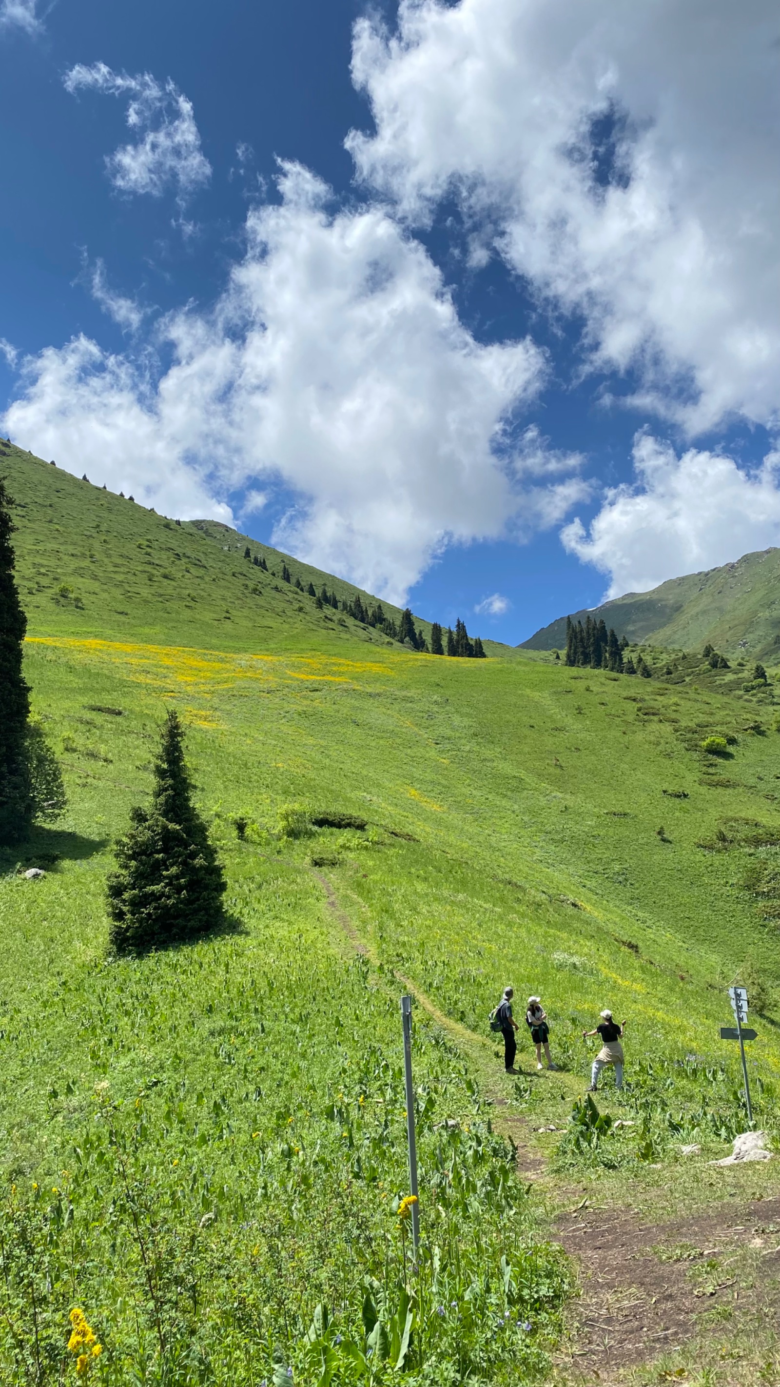 Trail photo