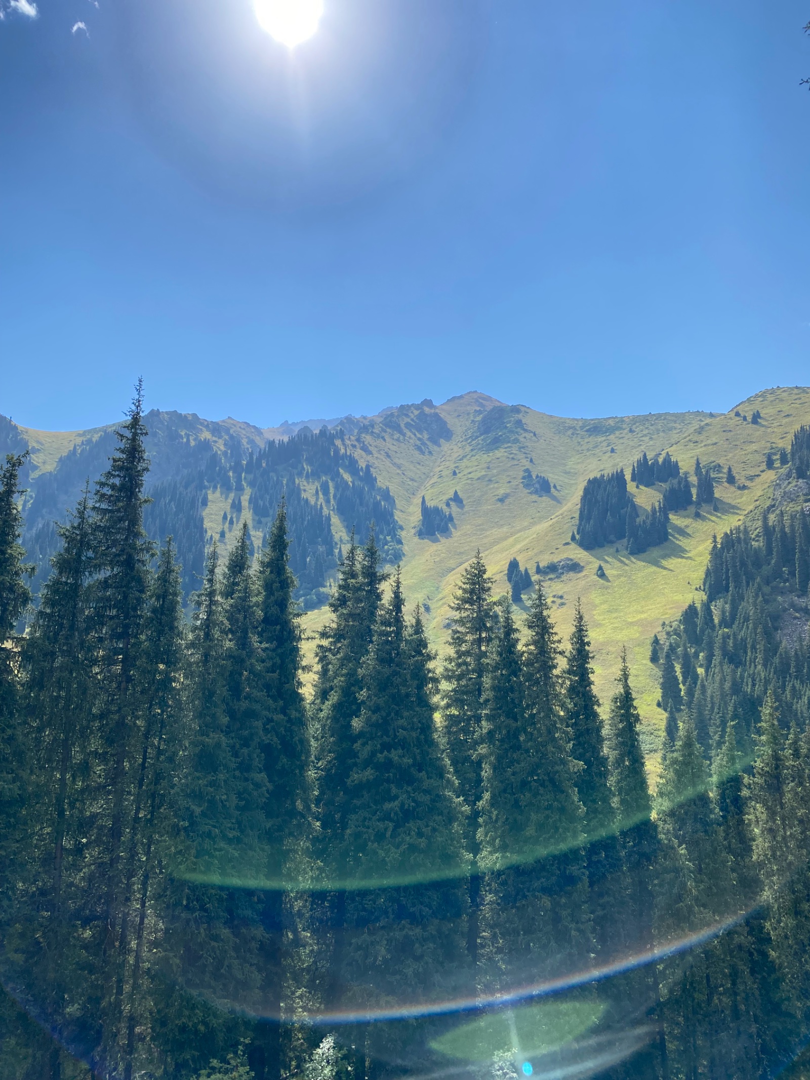 Trail photo