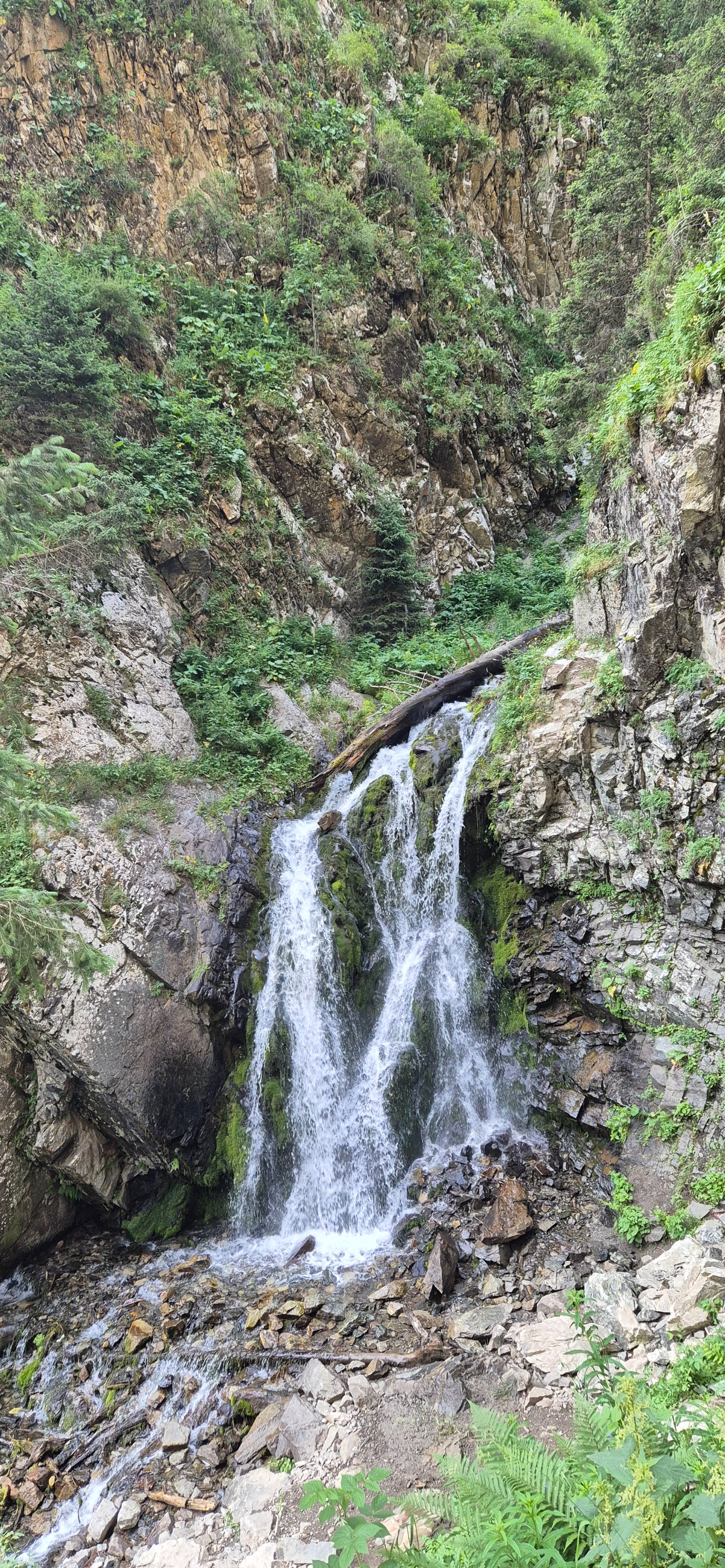 Trail photo
