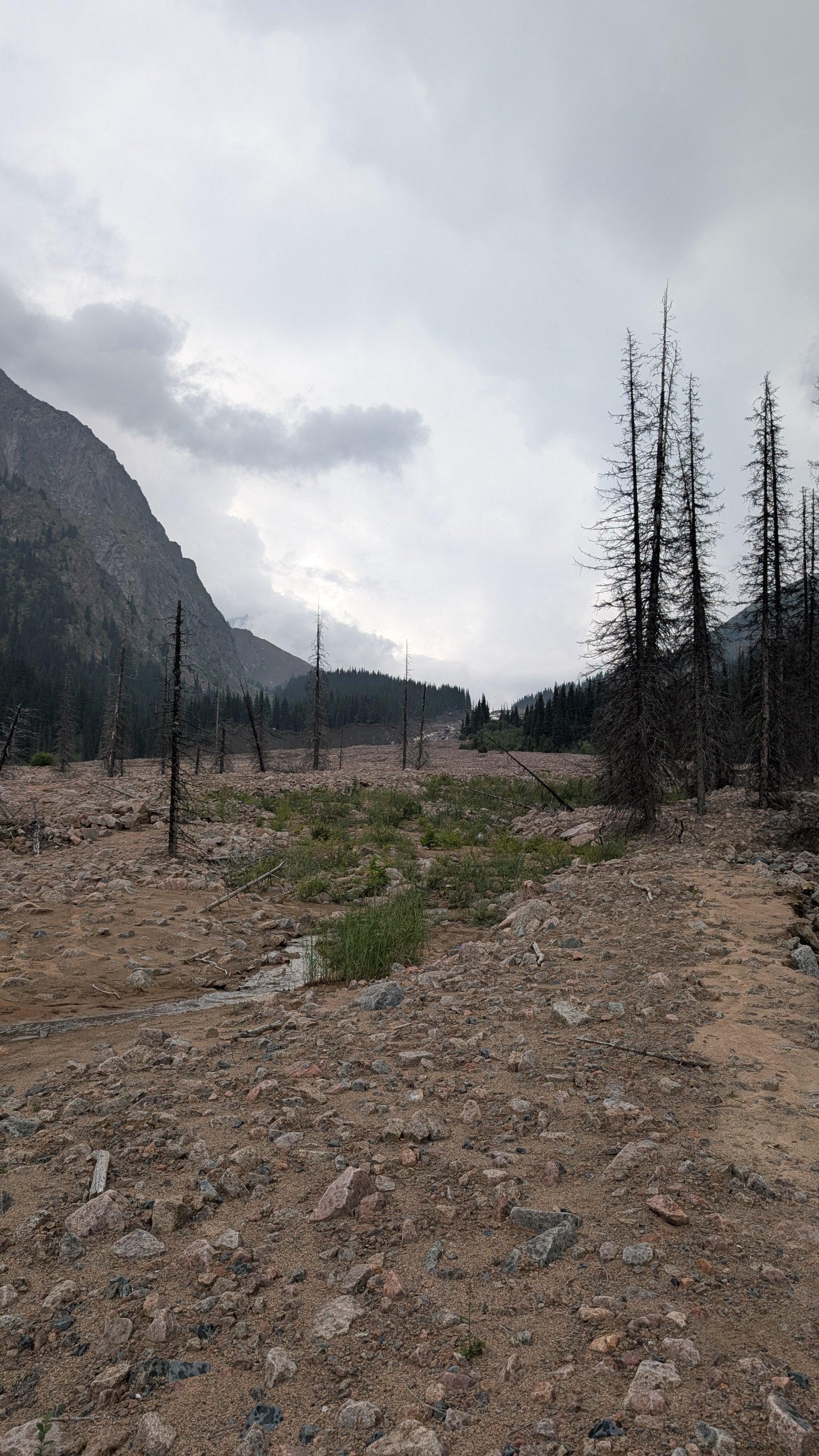 Trail photo
