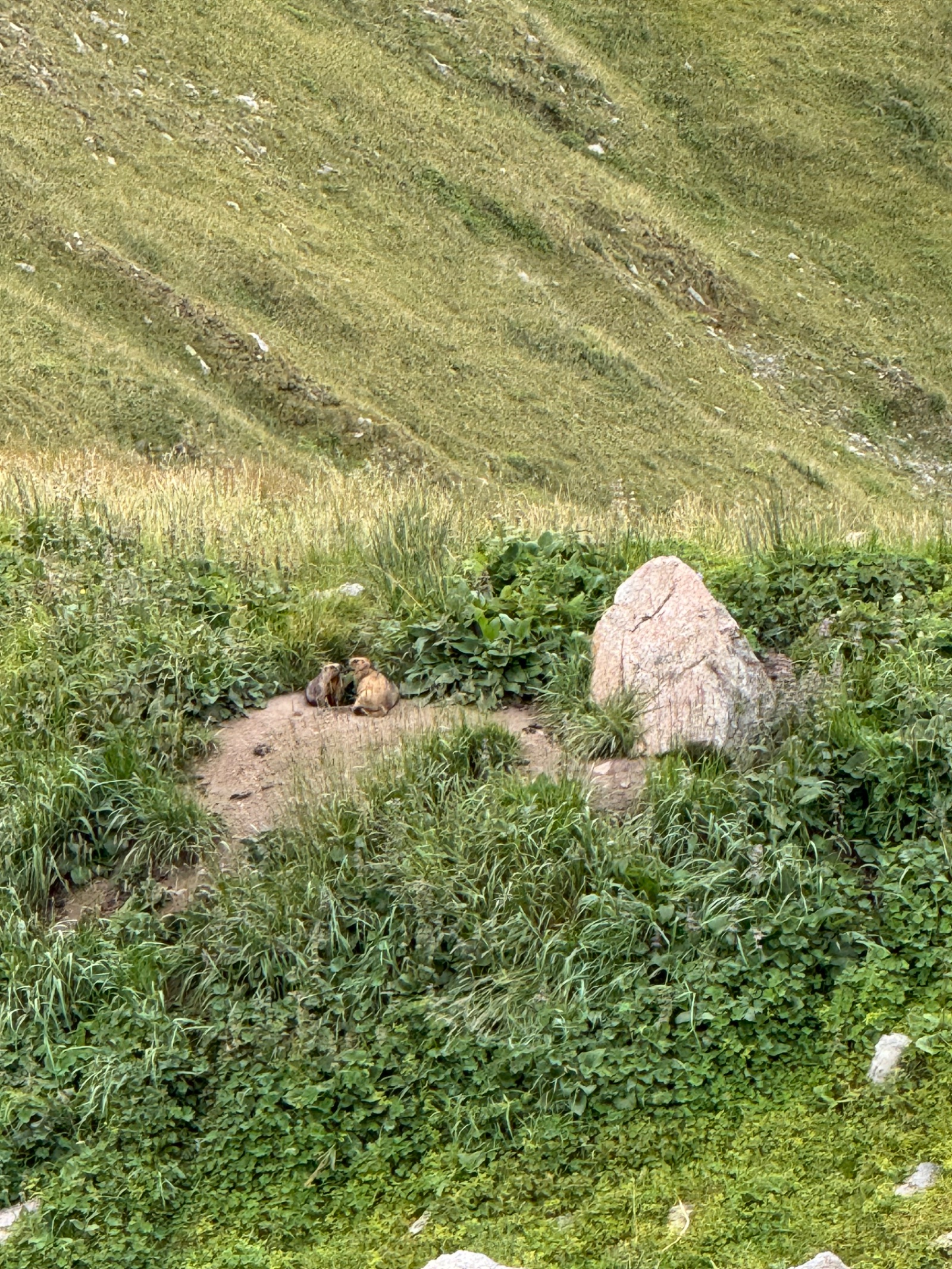 Trail photo