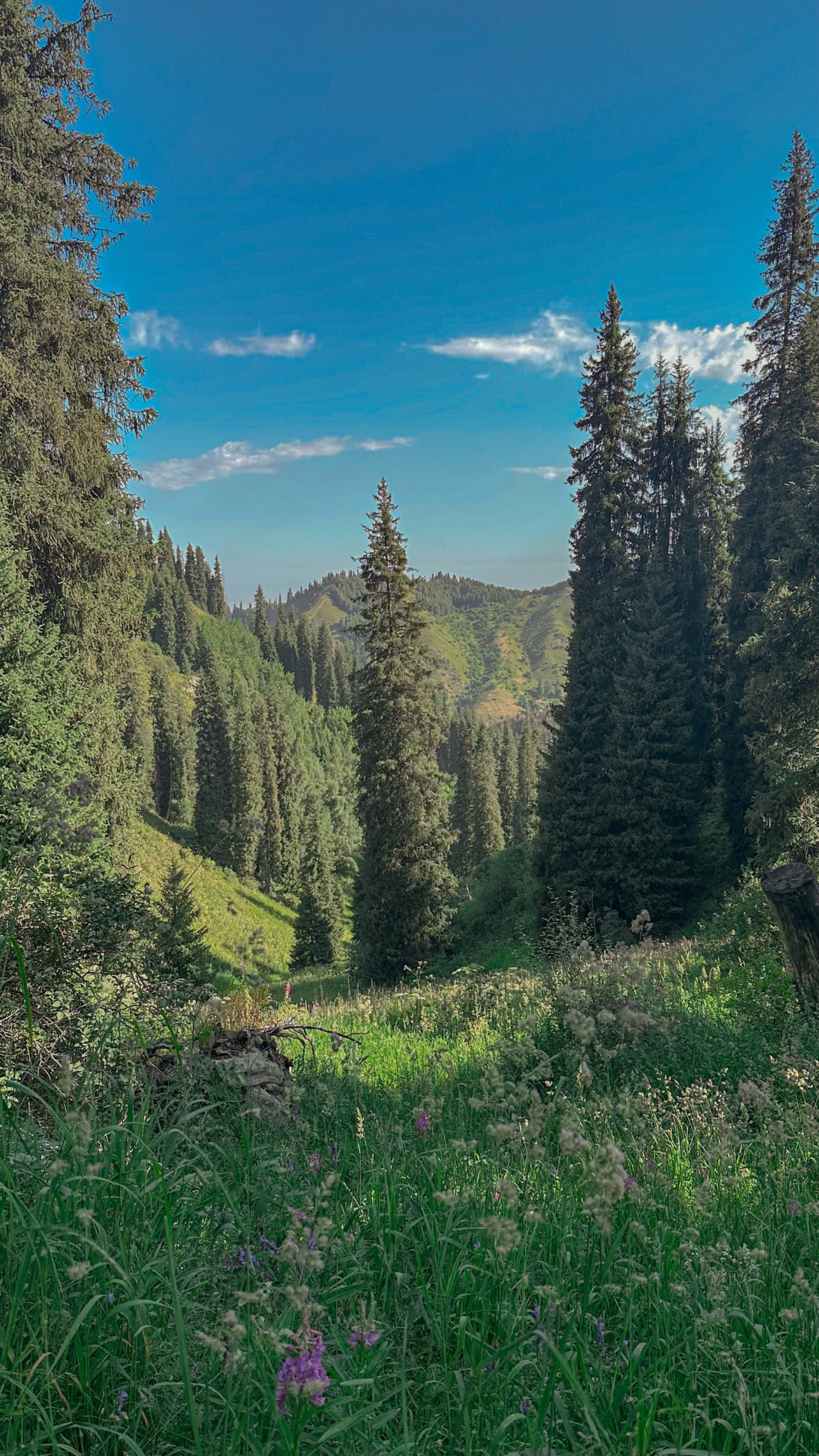 Trail photo