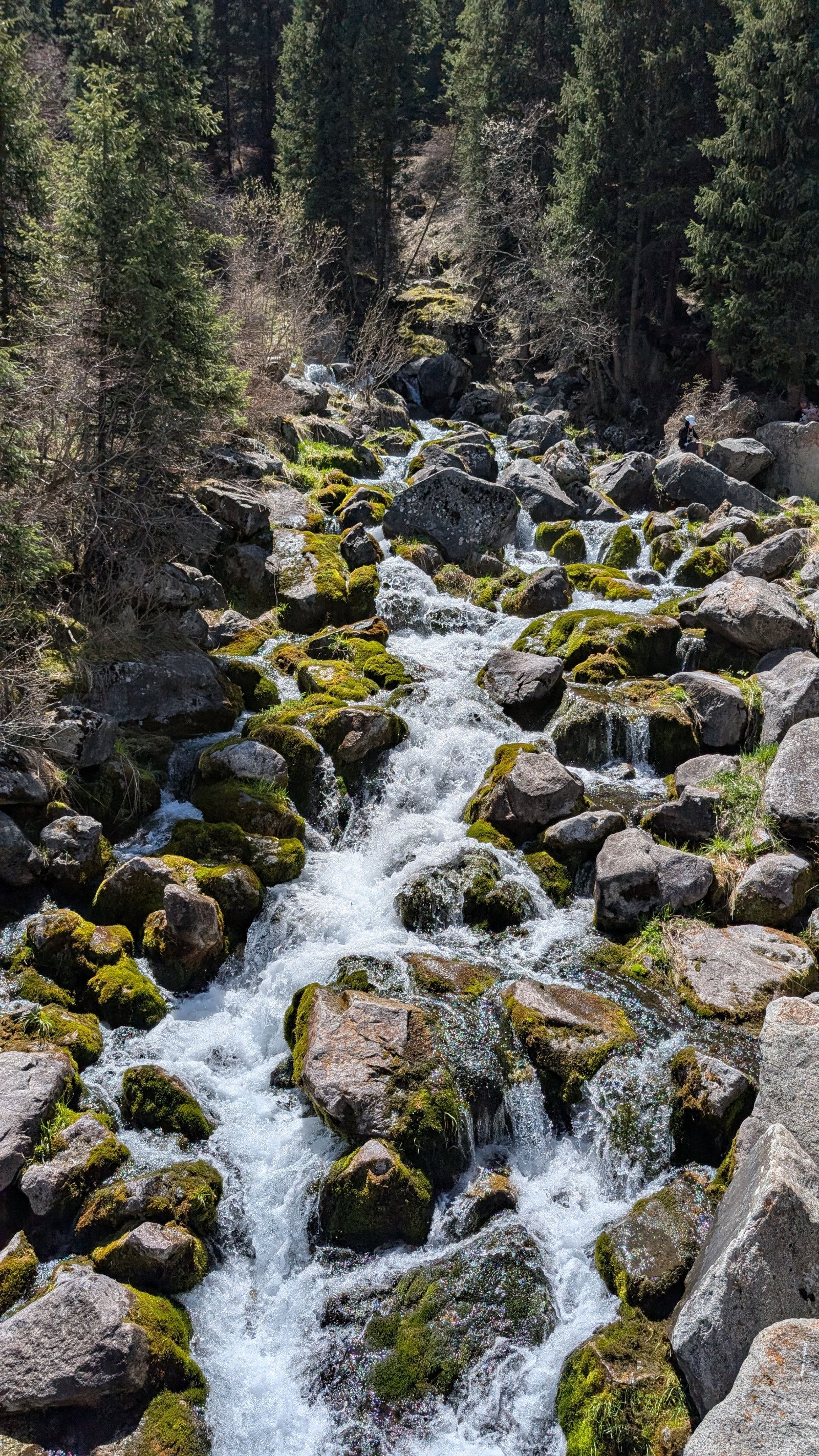 Trail photo