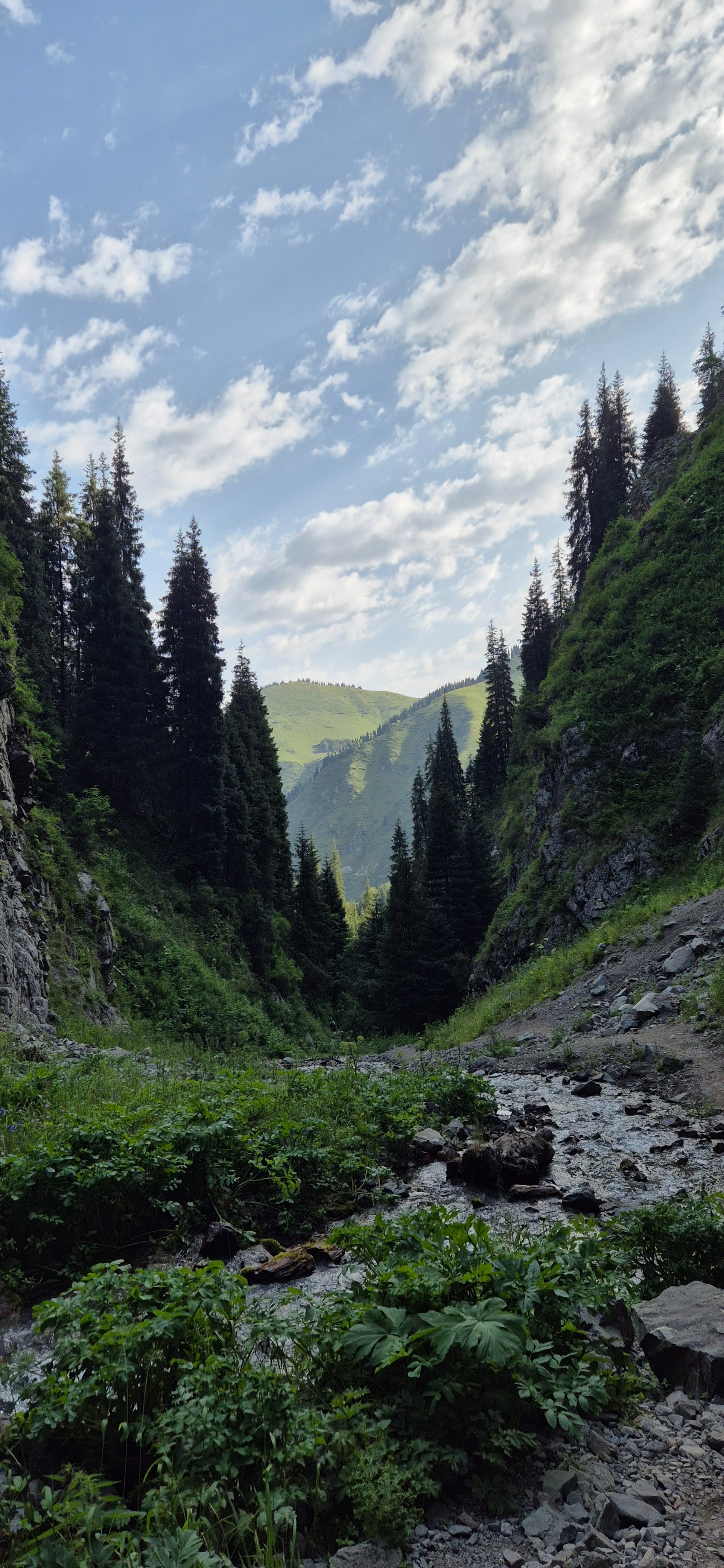 Trail photo