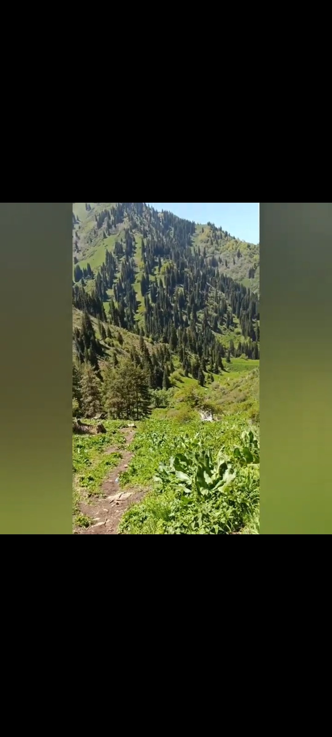 Trail photo