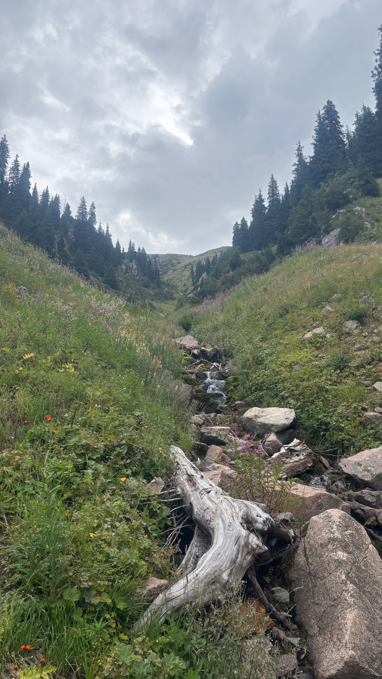 Trail photo