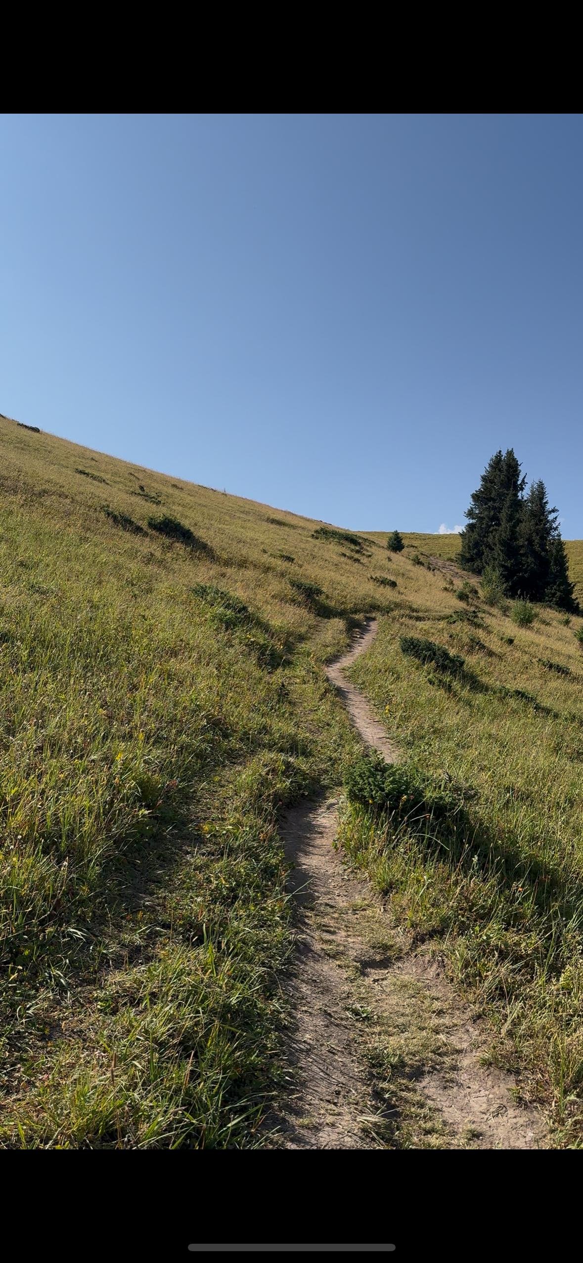 Пик Букреева, Алматы