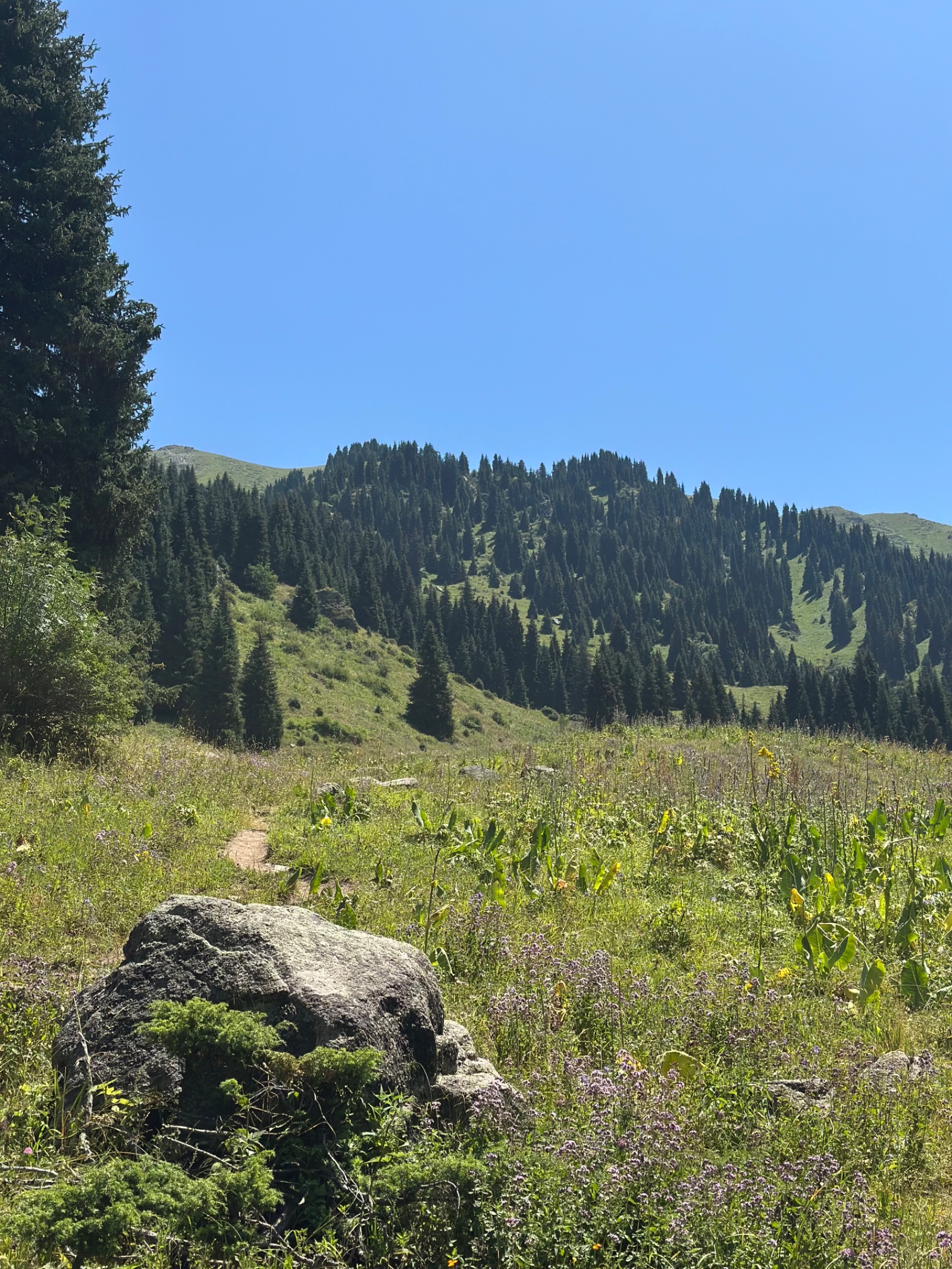 Trail photo