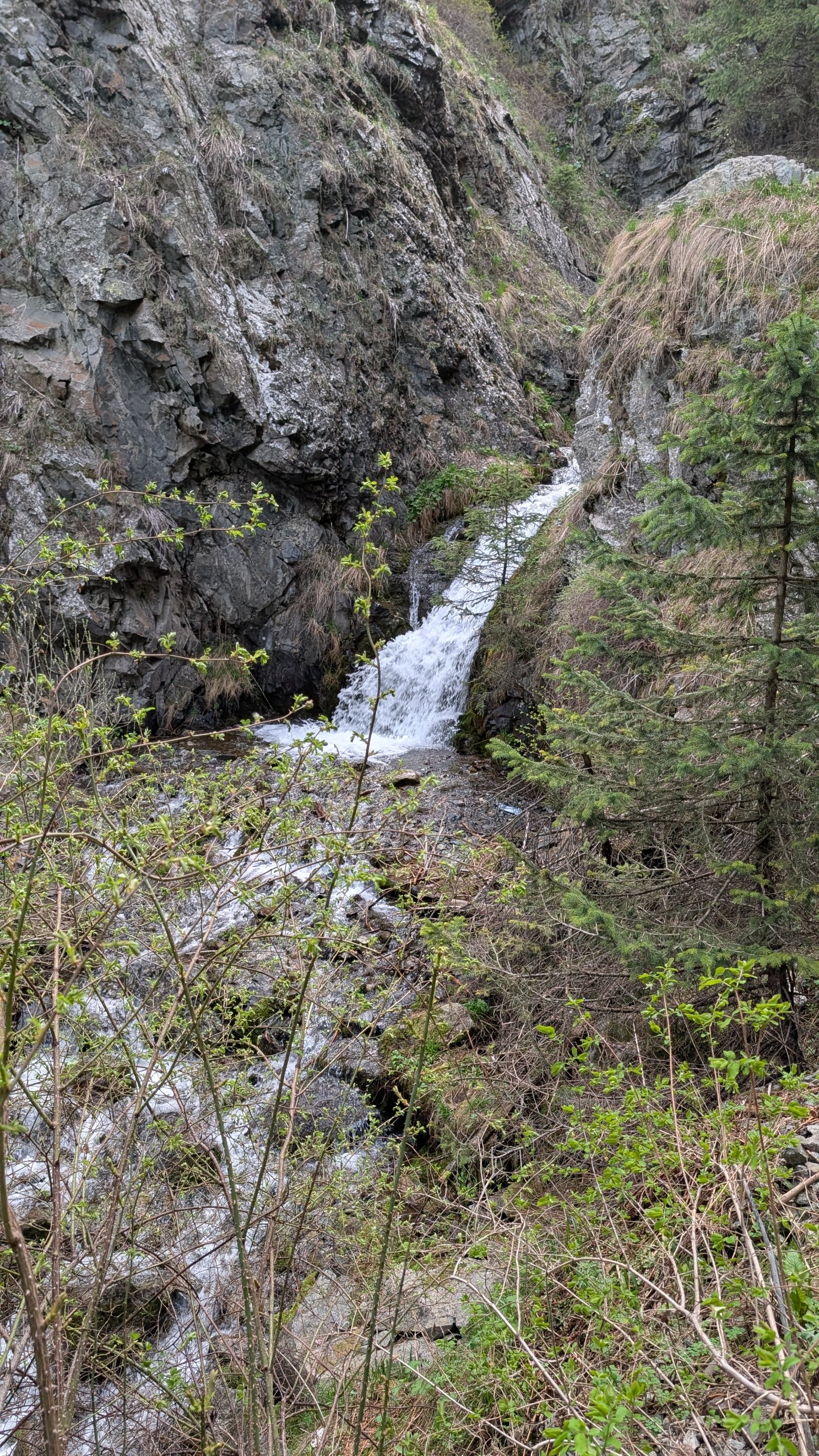 Trail photo