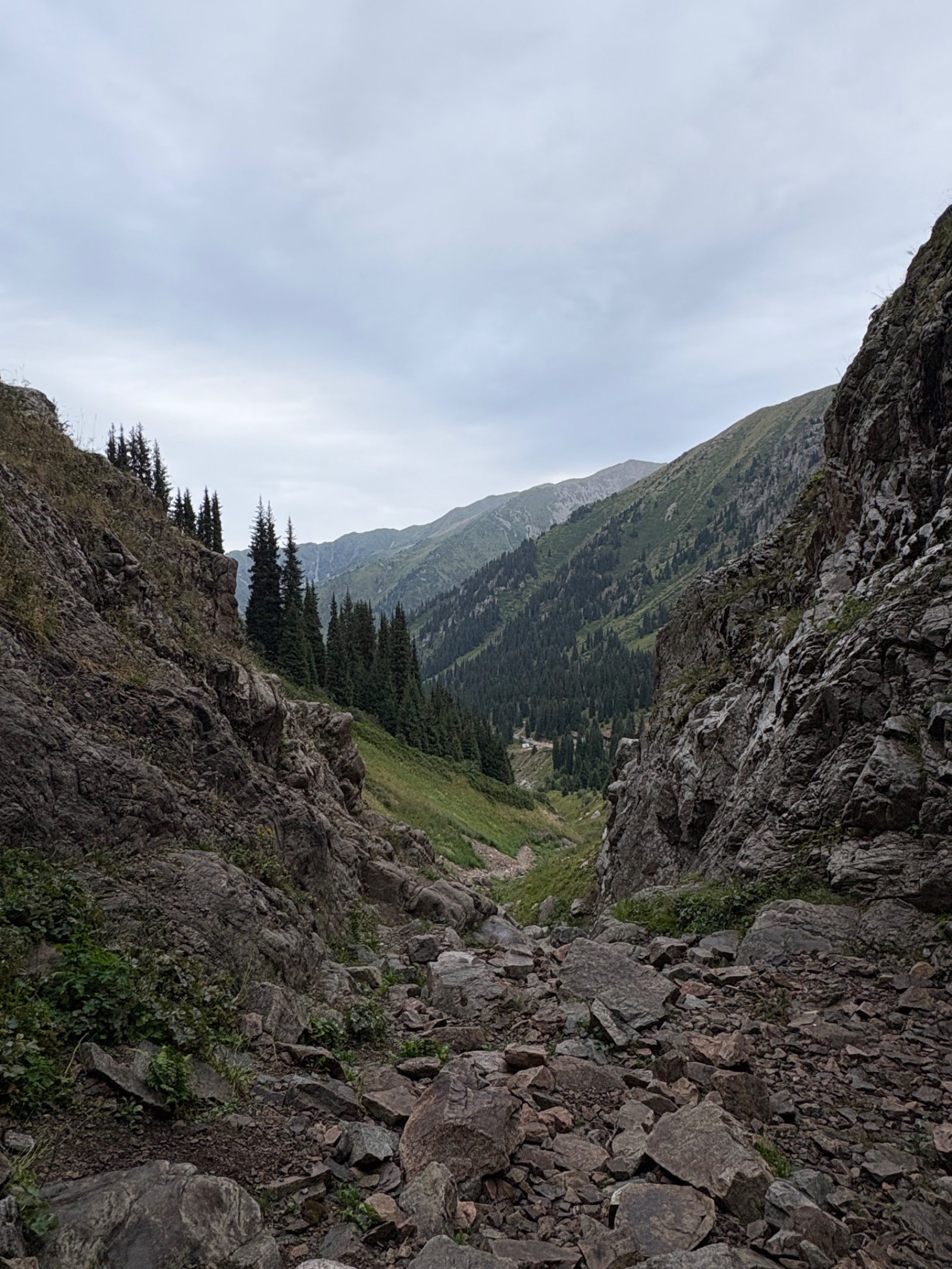 Trail photo