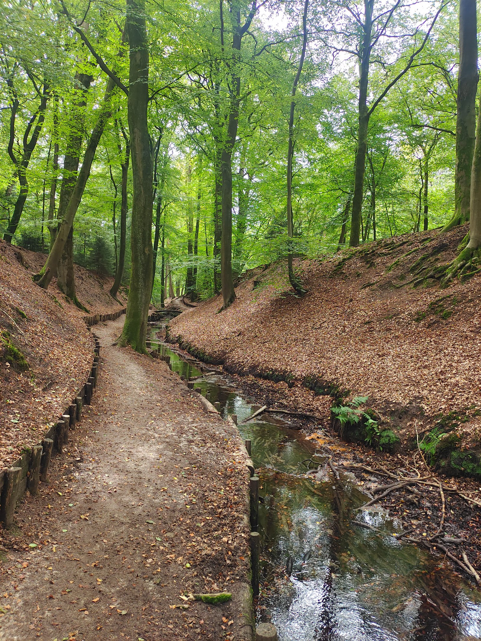 Best Hiking Trails in Netherlands