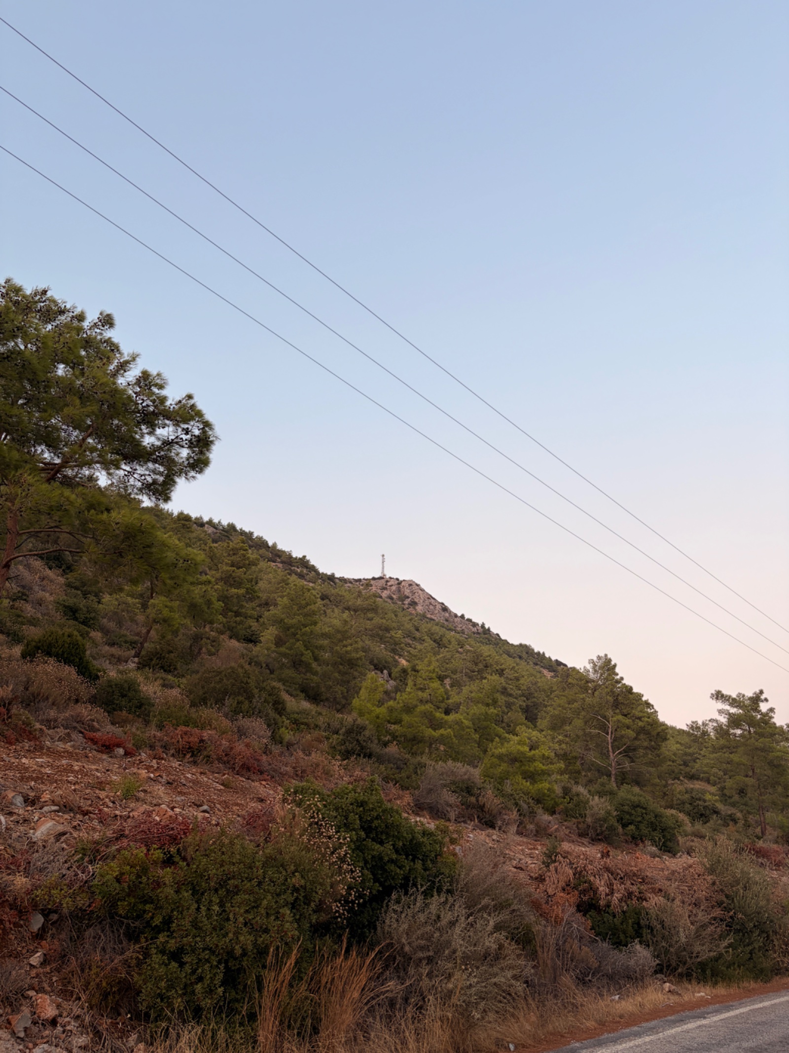 Yalı Dağı (308 m)